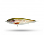 Jenzza Lures The Glide - Rainbow Trout Jenzza Lures The Glide - Rainbow Trout
